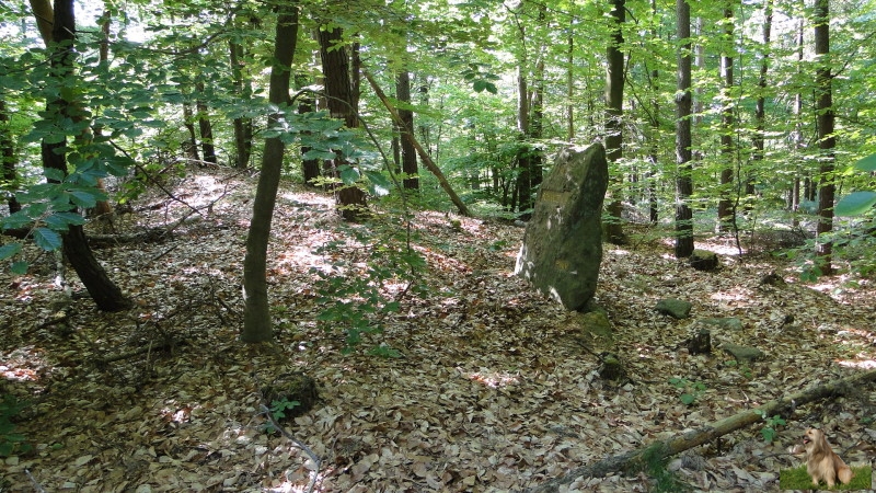 Ritterstein Nr. 175-4 Schanze 6 1793-94.JPG - Ritterstein Nr.175 Schanze 6 1793/94
